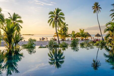 Palms reflecting on an infinity pool on the beach in Moorea, French Polynesiaのeditorial素材
