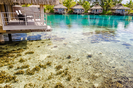 Overwater Bungalows in Moorea, French Polynesia
