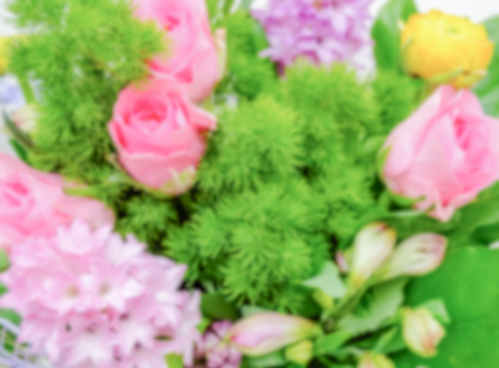 Defocused background of a colorful mix of flowers. Intentionally blurred post production for bokeh effectの写真素材