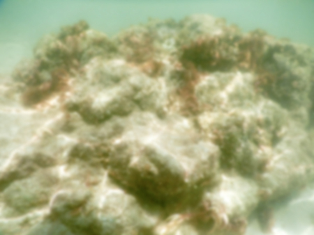 Defocused background of white sandy beach in Salento, Italy. Intentionally blurred post production for bokeh effectの写真素材