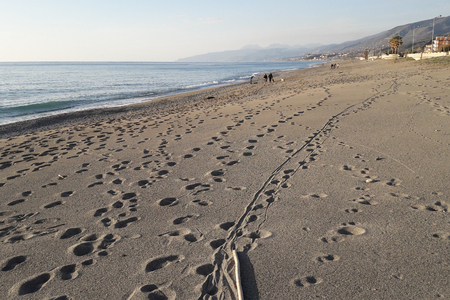 Landscape with a scenic sandy beach on the thyrrenian coastline in Calabria, Italyの写真素材