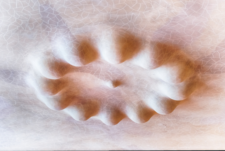 BARCELONA - AUGUST 9: Detail of the ceiling inside Casa Batllo, renowned building designed by Antoni Gaudi and iconic landmark in Barcelona, Catalonia, Spain, on August 9, 2017のeditorial素材