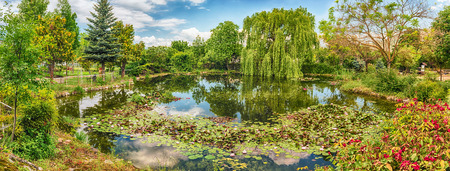 Idillic small pond in the forest with beautiful reflectionsの写真素材