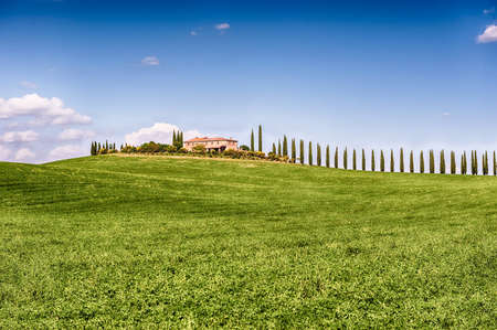 SAN QUIRICO D'ORCIA, ITALY - JUNE 23: Iconic group of cypresses in San Quirico d'Orcia, province of Siena, Tuscany, Italy, as seen on June 23, 2019のeditorial素材