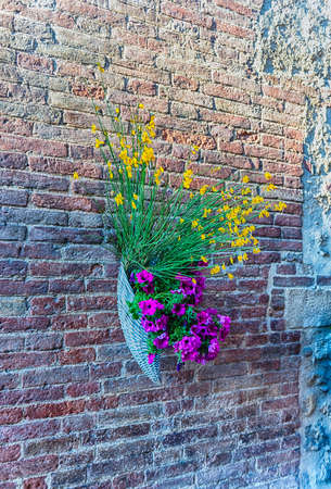 Scenic flowers hung on the walls in the city streets of Pienza, province of Siena, Tuscany, Italyの写真素材