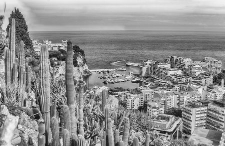 Panoramic view of Fontvieille district in the Principality of Monaco, Cote d'Azur, French Rivieraの写真素材
