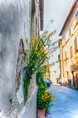 Scenic flowers hung on the walls in the city streets of Pienza, province of Siena, Tuscany, Italyの写真素材