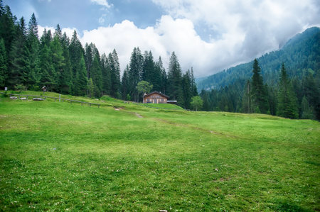 Lush green meadow with a wooden chalet in the distance, surrounded by the Italian Dolomites, Trentino Alto Adigeの写真素材