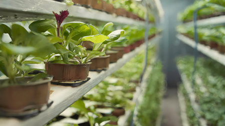 Sustainable agriculture with lush vertical farming hydroponics for indoor plant cultivation using high-resolution agrotechnology and soilless farming techniques. AI-generated contentの素材