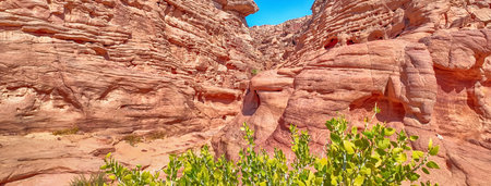 Scenic view of a canyon landscape in the desert near Dahab, South Sinai, Egyptの写真素材