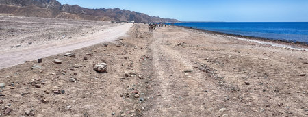 The scenic coastline along the Red Sea near the city of Dahab, South Sinai, Egypt