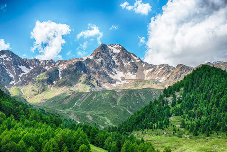 The rocky snow capped Schwemser Spitze in the Otztal Alps, as seen from Schnalstal lush green valley...