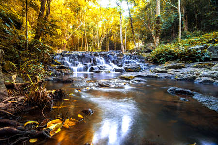 waterfall  Tree Beautifulの写真素材