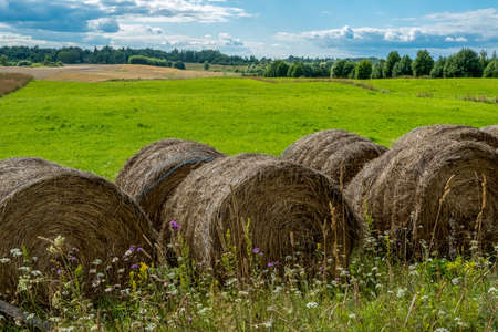 Landscape view of a green rural field with hay stack on a sunny day.の写真素材