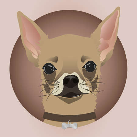Editable vector illustration of chihuahua dogのイラスト素材