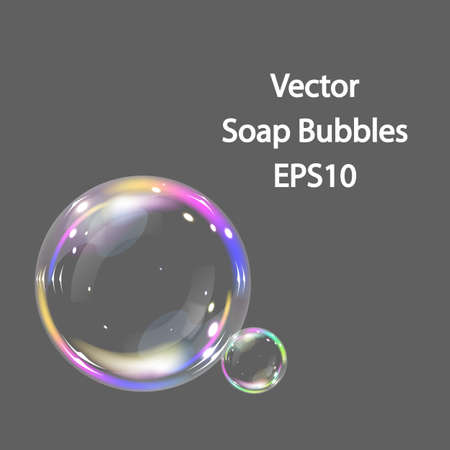Colorful and transparent soap bubbles. Vector, EPS10.の写真素材