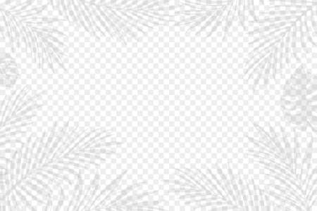 Exotic palm tree leaves on the transparent background. Editable vector illustration. EPS10.のイラスト素材
