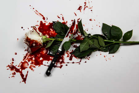 Beautiful and bloody white rose with knife on the white background. Bloody rose - conceptual photo.  White rose with knife and blood.の写真素材