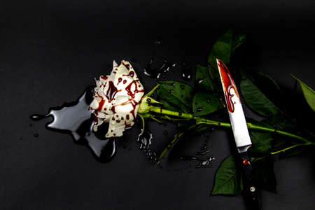 Beautiful and bloody white rose with knife on the dark background. Bloody rose - conceptual photo. ...