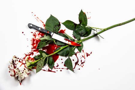 Beautiful and bloody white rose on the white background. Bloody rose - conceptual photo.  White rose...
