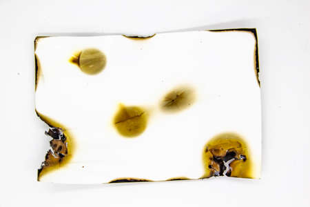 Burned photo paper on white background. Paper element can be used in designの写真素材