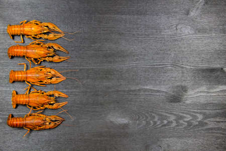 Five red boiled crawfish on the dark wood background. Cooking food background with free space for text. Top view with copy spaceの写真素材