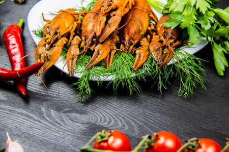 Red boiled crawfish on a white plate with a dill and parsley on the dark wood background. Composition with white plate and crayfish, pepper, garlic, tomatoes, dill, parsley.の写真素材