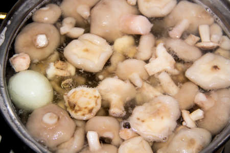 Butter mushrooms are peeled and boiled in waterの写真素材