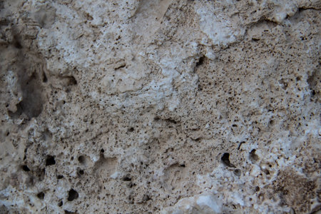 Beautiful stones texture from natural material. The dried and petrified coral on the rock against...