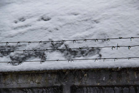 Barbed wire on the fence against light background in the winter cloudy day
