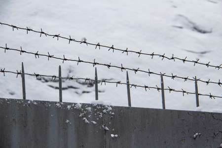 Barbed wire on the fence against light background in the winter cloudy dayの写真素材
