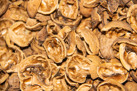Shells from peeled walnuts. Texture of the empty broken walnut shells
