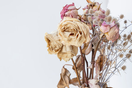 Bouquet of dried roses and eryngiumの写真素材