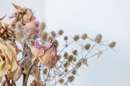 Bouquet of dried roses and eryngiumの写真素材