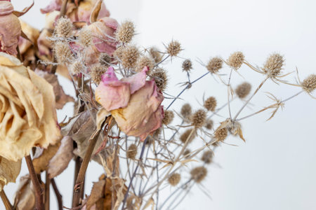 Bouquet of dried roses and eryngiumの写真素材