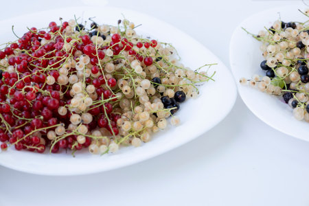 Fresh currents in a white plate: black currents, red currents and white currents.Mix of the berry