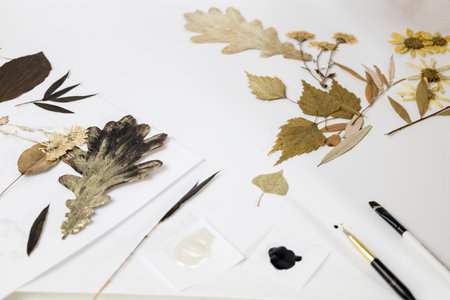 Handmade from leaves and paints. Preparations for frame craft from leaves with paints, brushes....