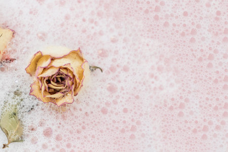 Dry flowers with foam and water. Buds rose between bubbles from the soap.の写真素材