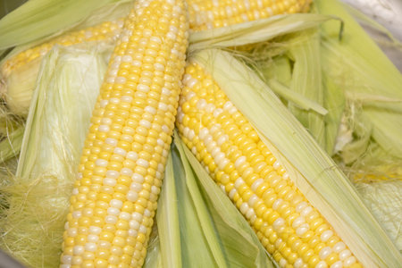 Cleaning raw cobs of sweet corn in