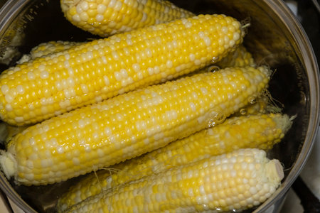 Cobs of sweet corn in a pot of water boiled. Cooking sweet corn in saucepan. Tasty corn on cobs