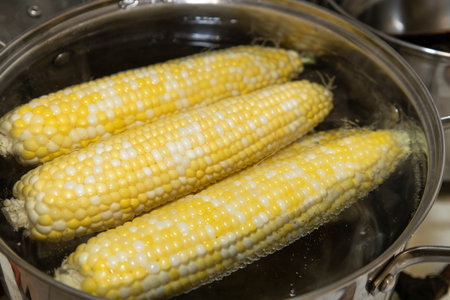 Cobs of sweet corn in a pot of water boiled. Cooking sweet corn in saucepan. Tasty corn on cobs