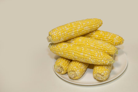 Raw cobs of sweet corn on plate against background. Tasty sweet corn on cobsの写真素材