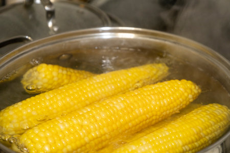 Cobs of sweet corn in a pot of water boiled. Cooking sweet corn in saucepan. Tasty corn on cobs