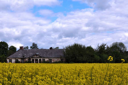 Historic country house in rapeseedの写真素材