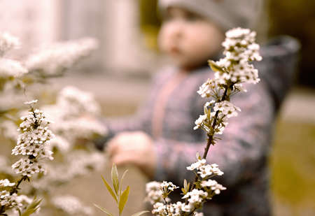flowers with blur background.