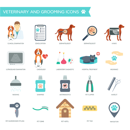 Set of veterinary and grooming icons with names. Flat design. Vector illustrationのイラスト素材