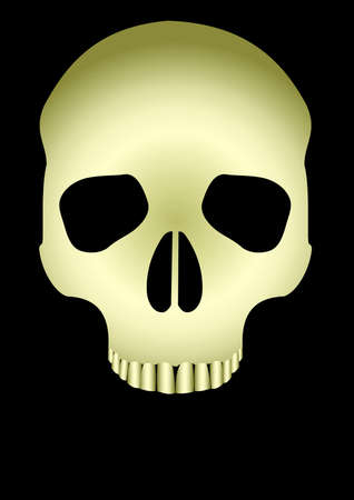 skull on black background. Vector Illustrationのイラスト素材