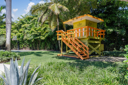 Park with wall trees, palm trees, agave, lifeguard house and basketball court, short grass and blue skyの写真素材
