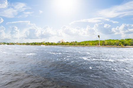 Canal view in coral ridge miami, waves, piers, tropical vegetation, trees, palms, blue sky, modern housesの写真素材