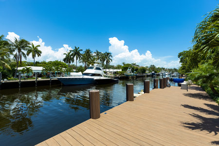 patio of elegant and modern house with swimming pool, surfboards, lounge chairs with umbrellas, palms, canal of miami bay, pier, boats,の写真素材